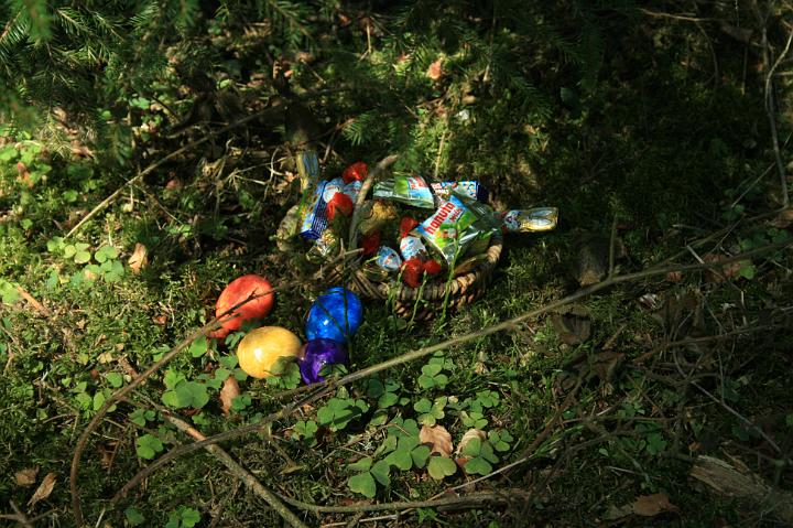 Osterhasensuche 2012 Bild 13